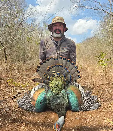 A hunter in camouflage kneeling outdoors holding a shotgun next to a turkey.